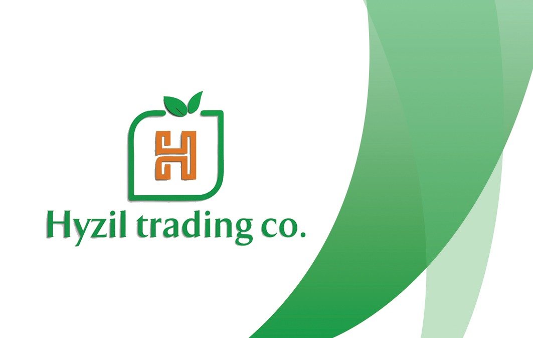 hyzlenttradingandexport.com
